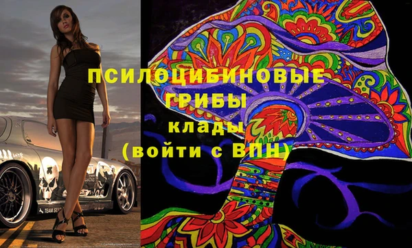 ALPHA PVP Богородицк