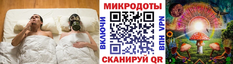 что такое   Биробиджан  Галлюциногенные грибы Psilocybine cubensis 